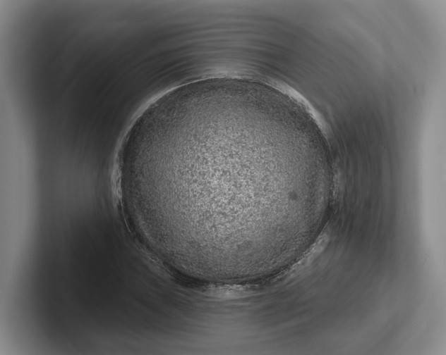 X0000102281019200808081458