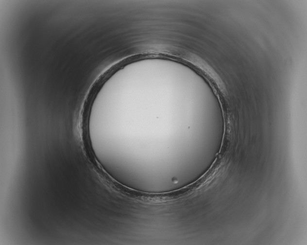 X0000102281020200808081458