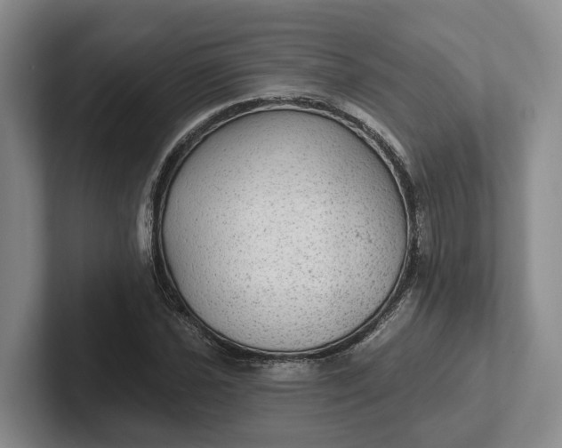 X0000102281021200808081458