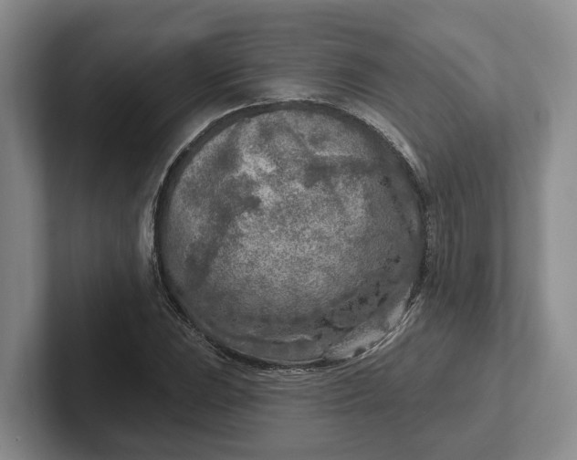 X0000102281023200808081458