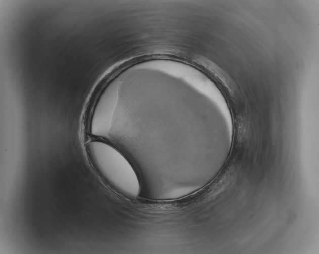 X0000102281024200808081458