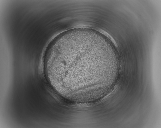 X0000102281027200808081458