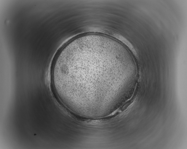 X0000102281028200808081458