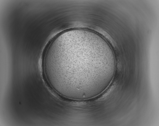 X0000102281030200808081458