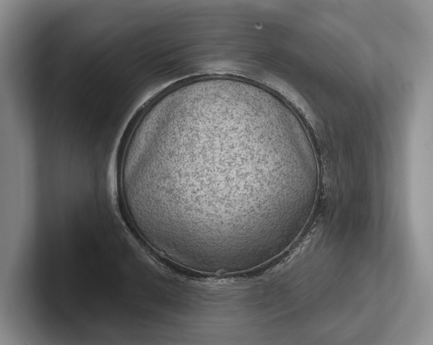 X0000102281032200808081458