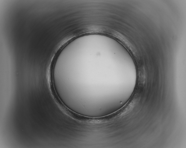 X0000102281034200808081458