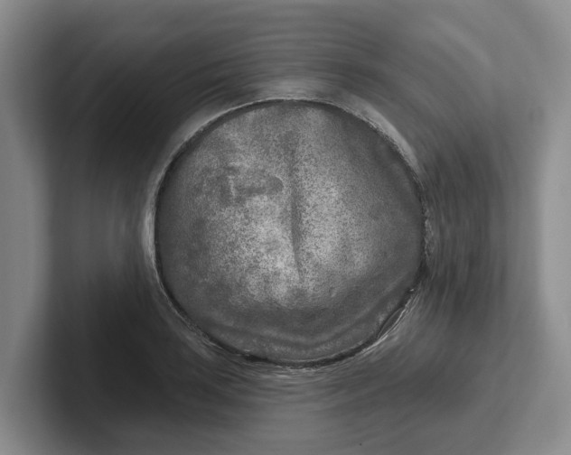 X0000102281035200808081458