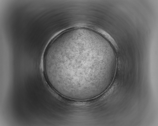 X0000102281036200808081458