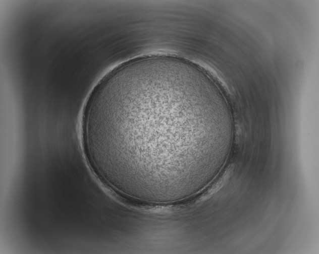 X0000102281038200808081458