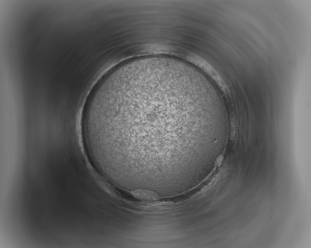 X0000102281039200808081458