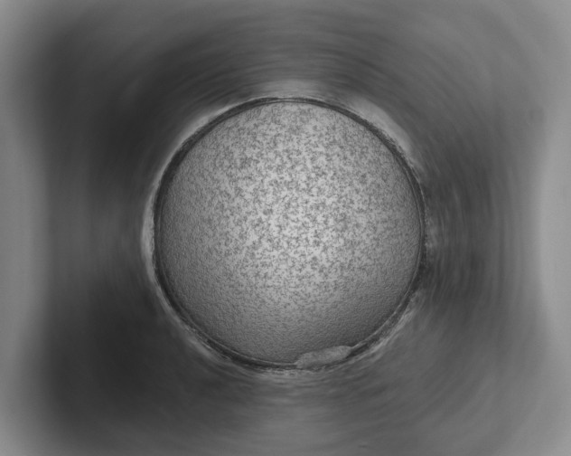 X0000102281040200808081458