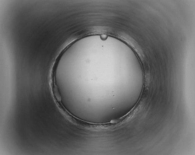 X0000102281042200808081458