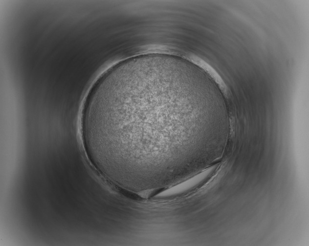 X0000102281043200808081458