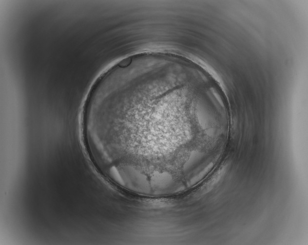 X0000102281045200808081458