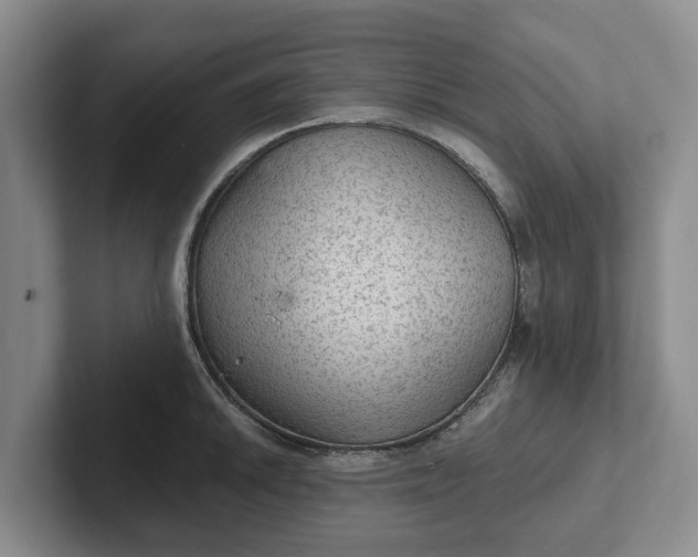 X0000102281046200808081458