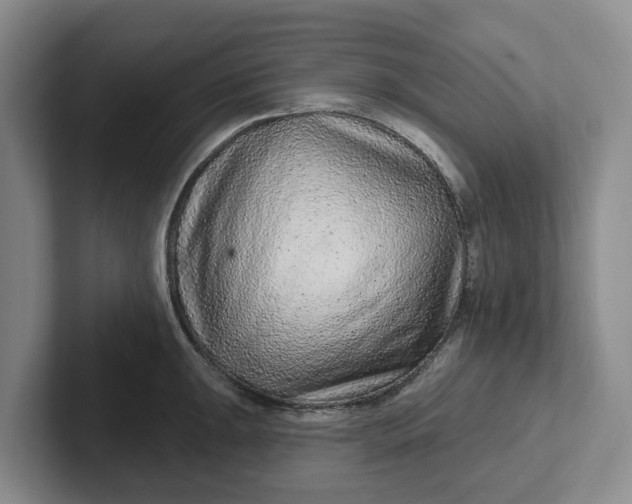 X0000102281047200808081458