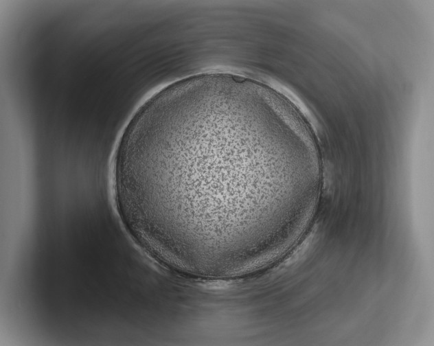 X0000102281048200808081458