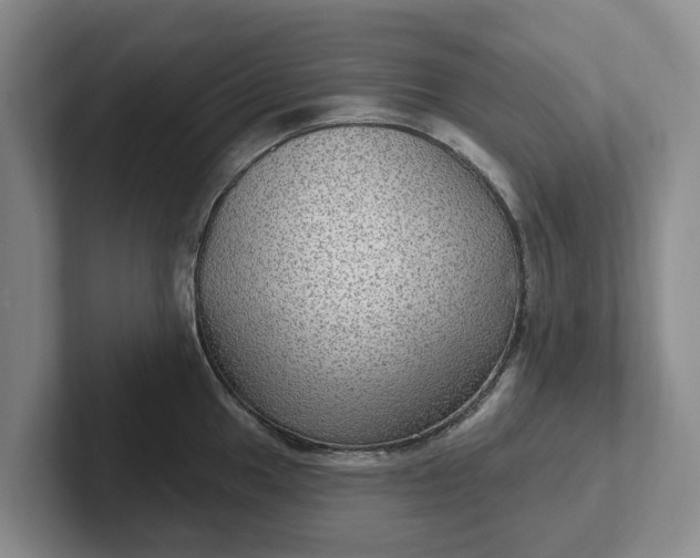 X0000102281049200808081458