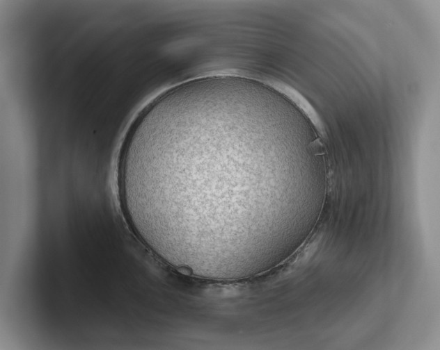 X0000102281051200808081458