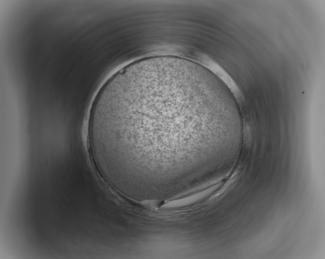 X0000102281052200808081458