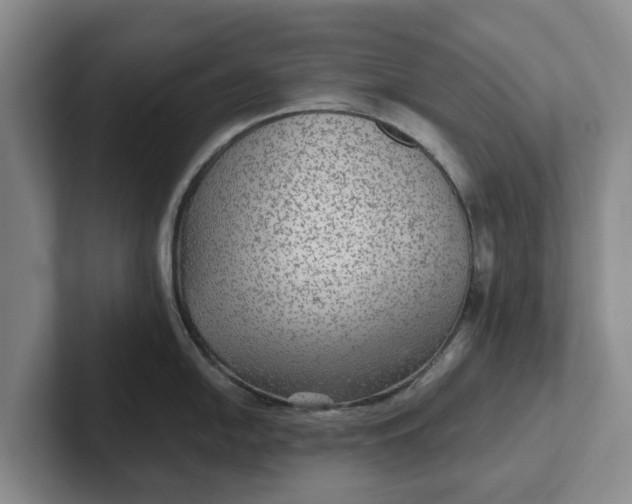 X0000102281054200808081458