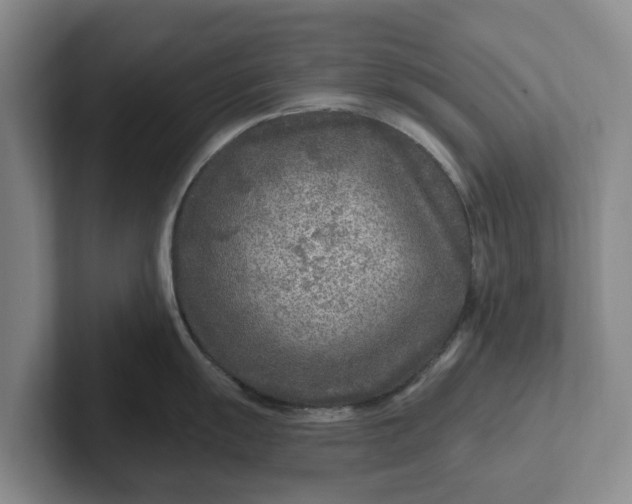 X0000102281055200808081458