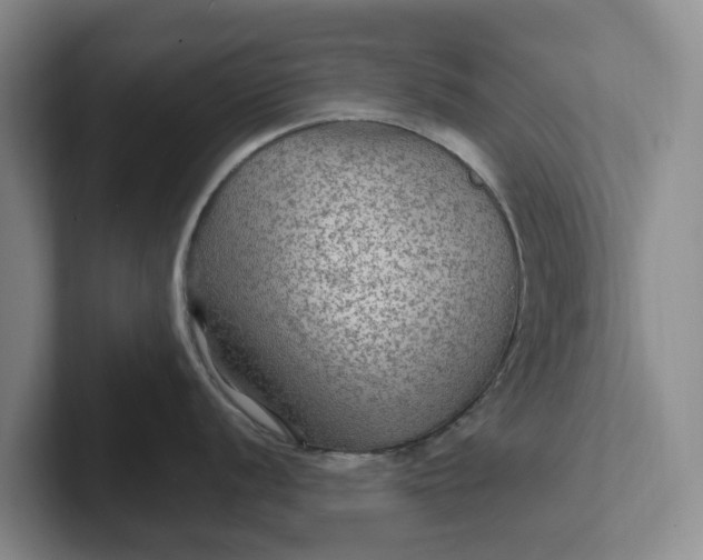 X0000102281056200808081458