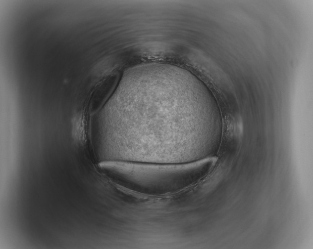 X0000102281060200808081457