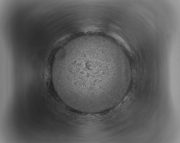 X0000102281063200808081457