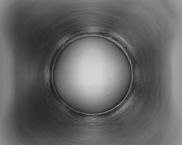 X0000102281065200808081457