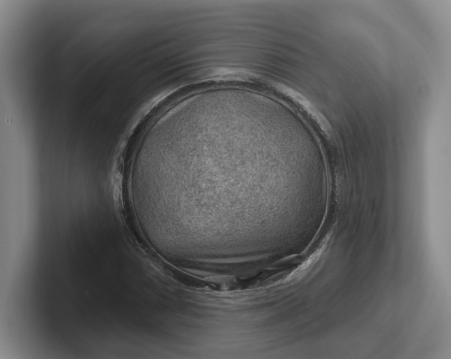 X0000102281066200808081457