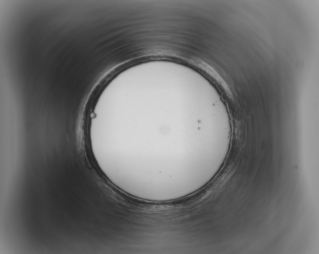 X0000102281068200808081457