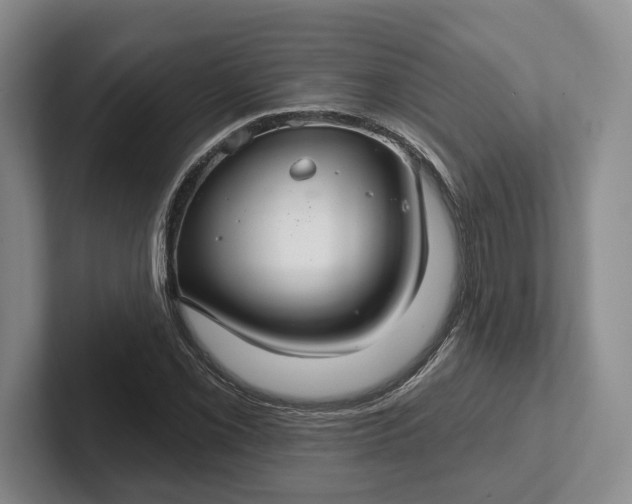 X0000102281069200808081457