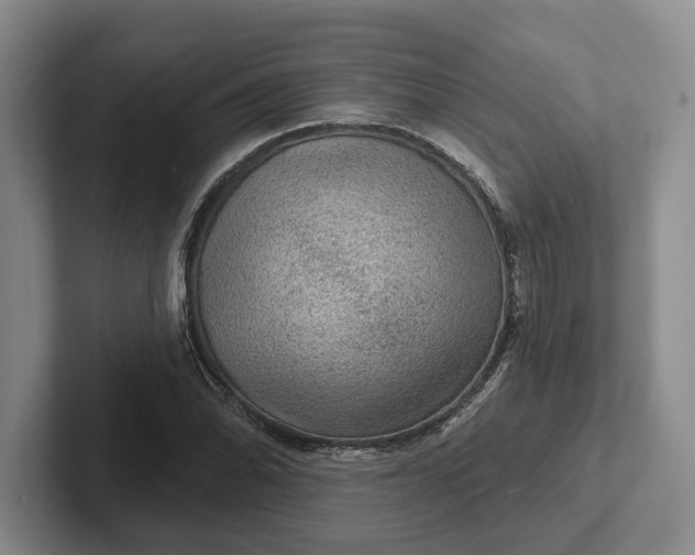 X0000102281070200808081457