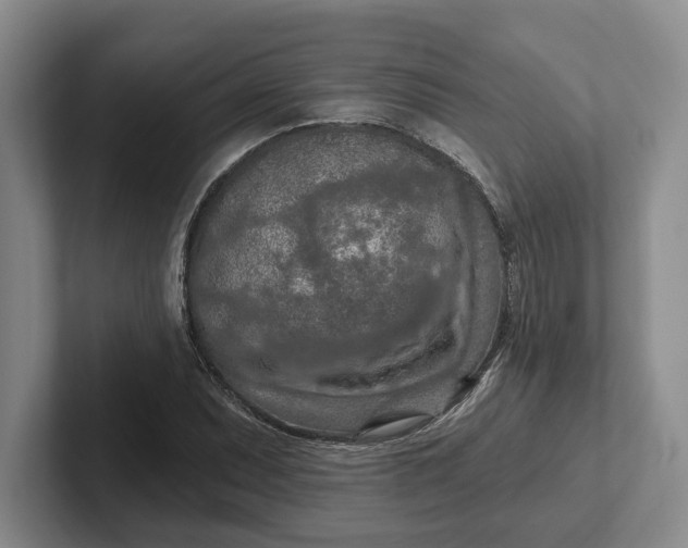 X0000102281071200808081457