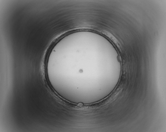 X0000102281072200808081457