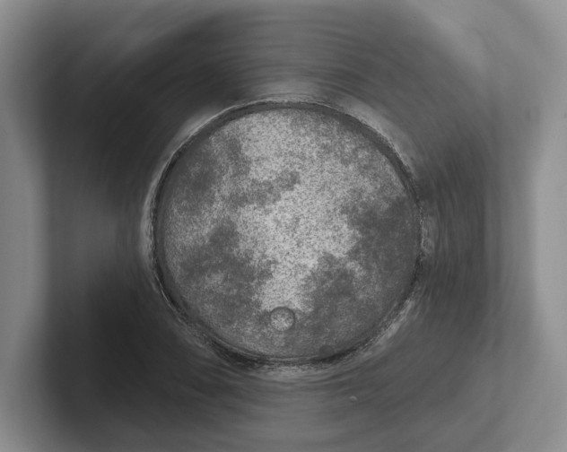 X0000102281074200808081457