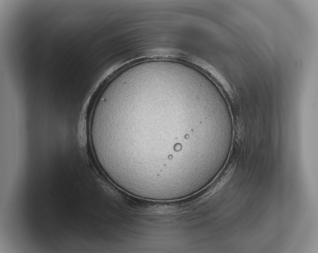 X0000102281075200808081457