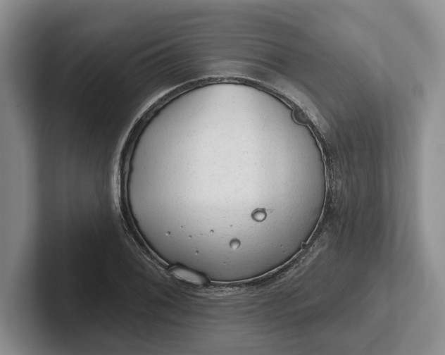 X0000102281076200808081457