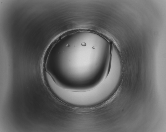 X0000102281077200808081457