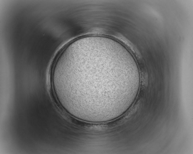 X0000102281078200808081457