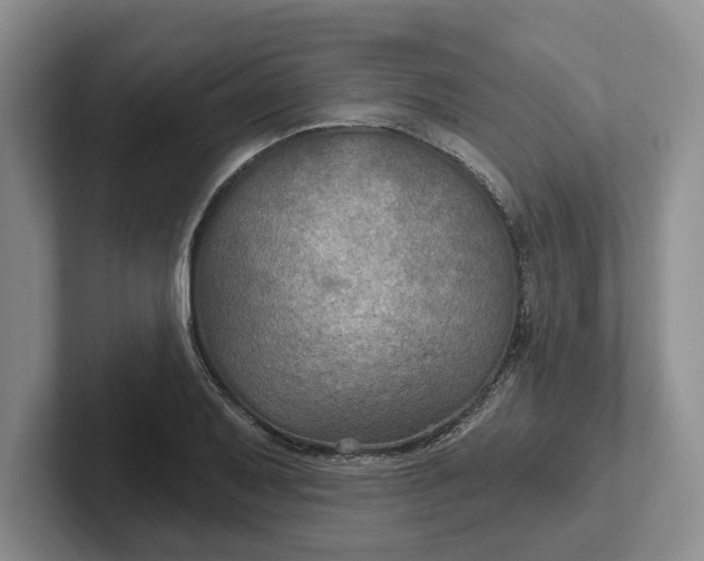 X0000102281079200808081457