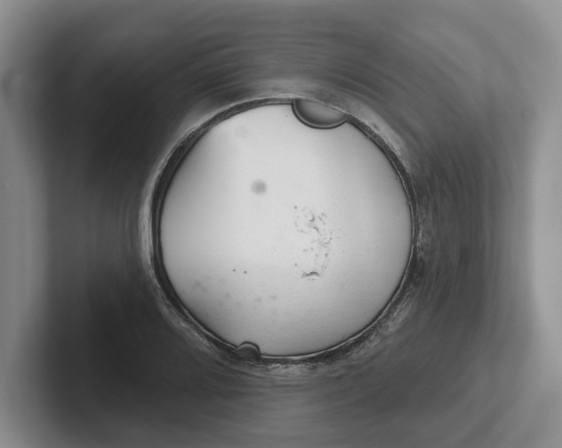 X0000102281080200808081457