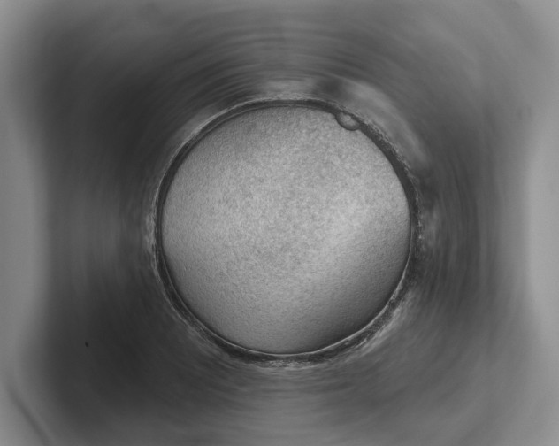 X0000102281081200808081457