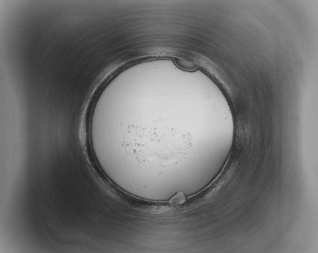 X0000102281082200808081457