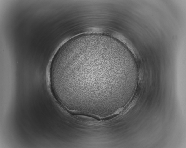 X0000102281083200808081457