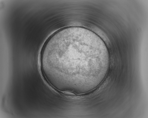 X0000102281084200808081457