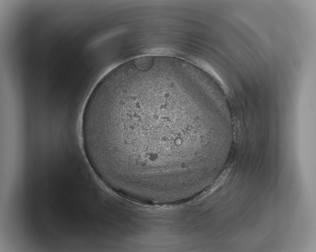 X0000102281087200808081457