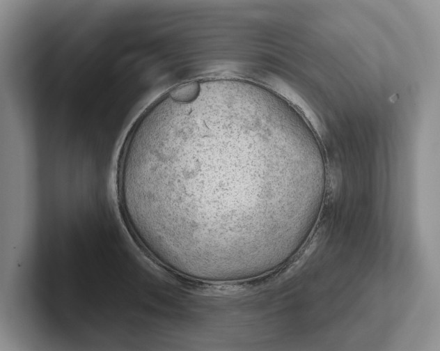 X0000102281090200808081457