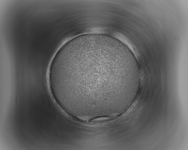 X0000102281091200808081457